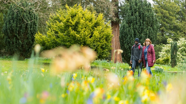 Visitors, a man and a woman, walking in the garden in spring at Belton Estate, Lincolnshire